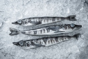 фото ВКУСМАН Ледяная рыба тушка з/м, кг